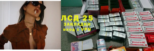 индика Арсеньев
