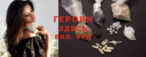 индика Арсеньев