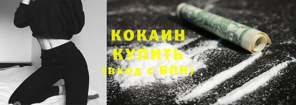 индика Арсеньев