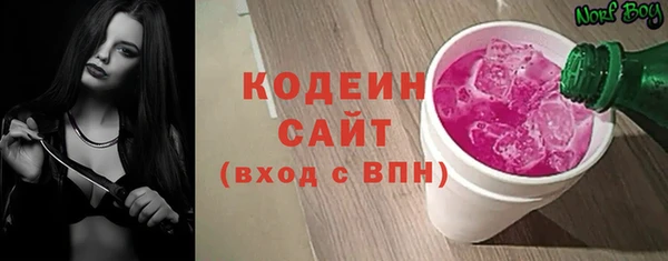 индика Арсеньев