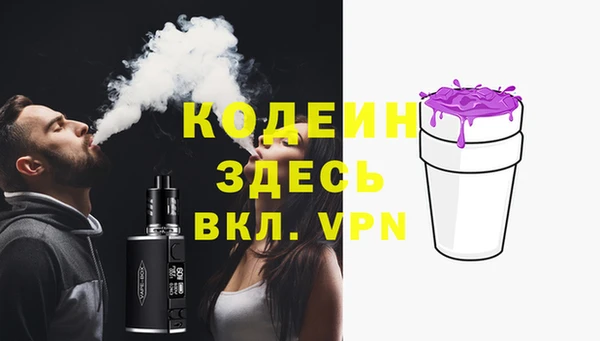 индика Арсеньев
