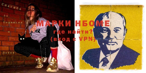 индика Арсеньев