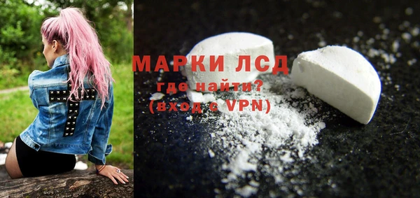 индика Арсеньев