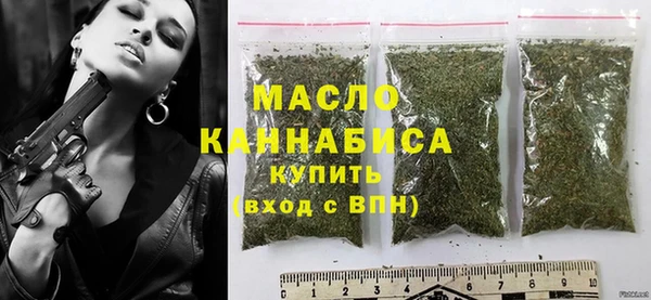индика Арсеньев