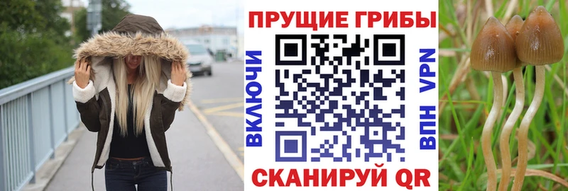 Галлюциногенные грибы GOLDEN TEACHER  Армянск 